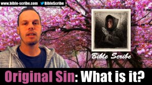 Original Sin, What is it?