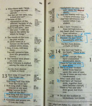 Psalm 13 with Markup