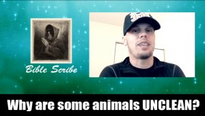 Why are some animals UNCLEAN?